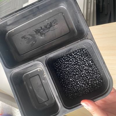 Good Migration Resistance Plastic Master Batch PE PP Carrier