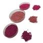 25kg Plastic Color Masterbatch Various additives For Extrusion Molding