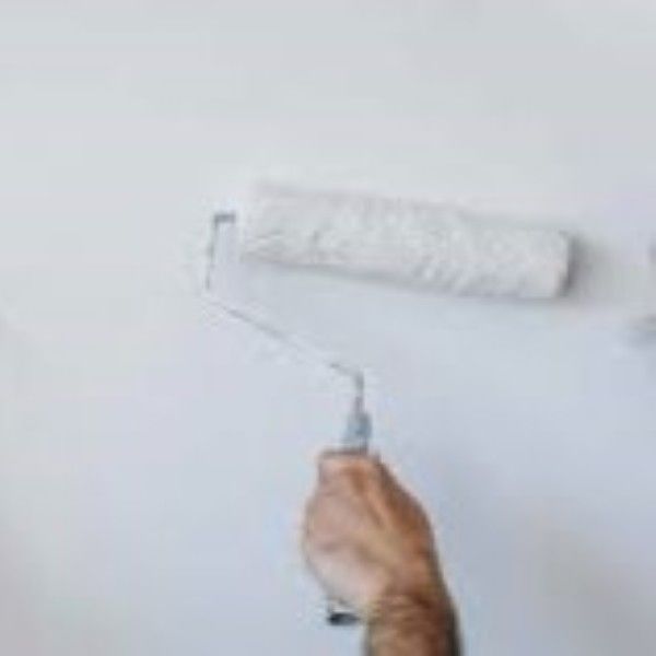 Anti Alkali Paint Building Materials Waterproof General Top Coat